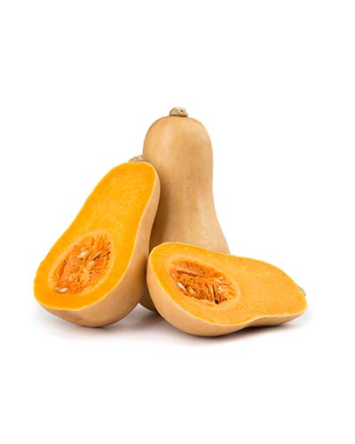 PLANT BUTTERNUT