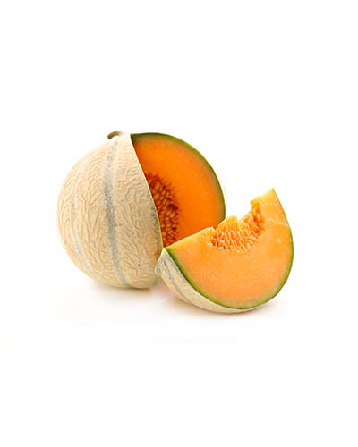 PLANT MELON