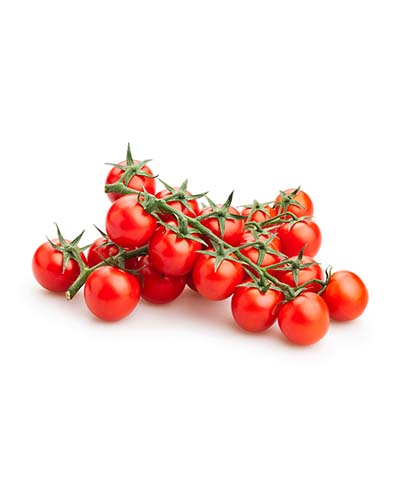 TOMATE CERISE