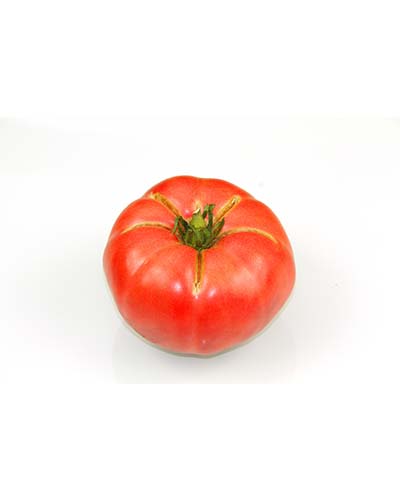 TOMATE ROSE DE BERNE