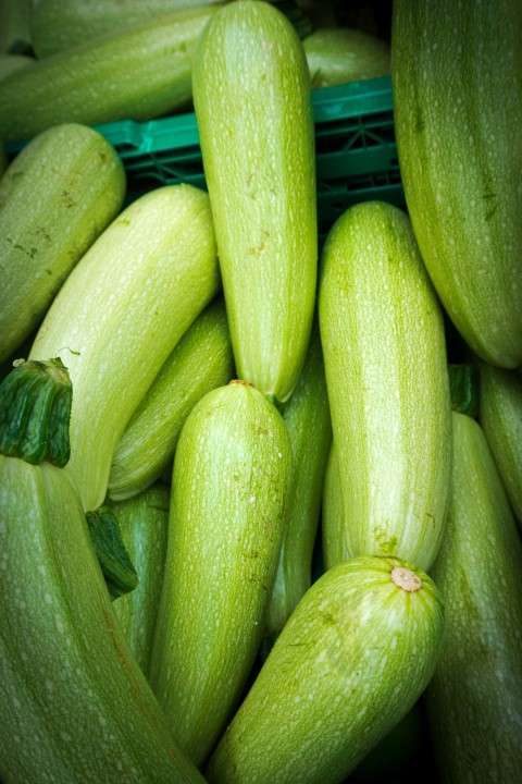 COURGETTE LONGUE VERTE (kg)