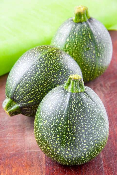 COURGETTE RONDE VERTE (kg)