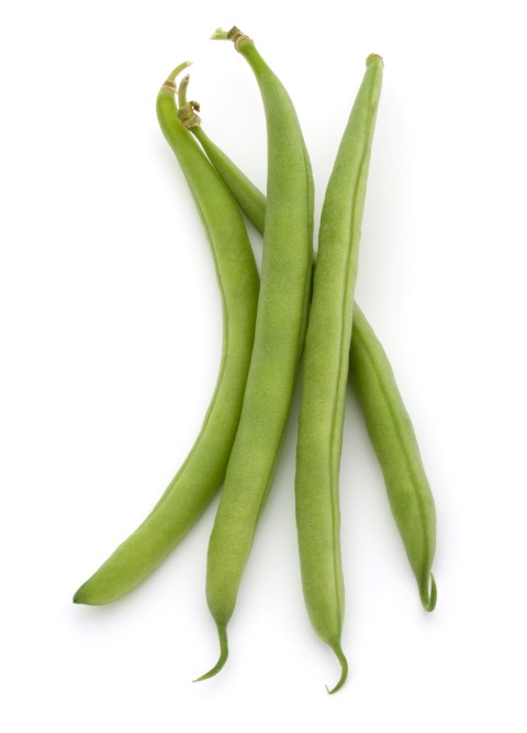 HARICOT VERT (kg)